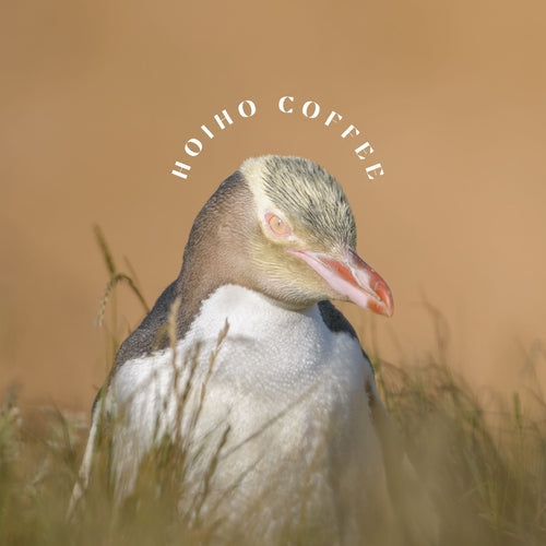 What Does "Hoiho" Mean?